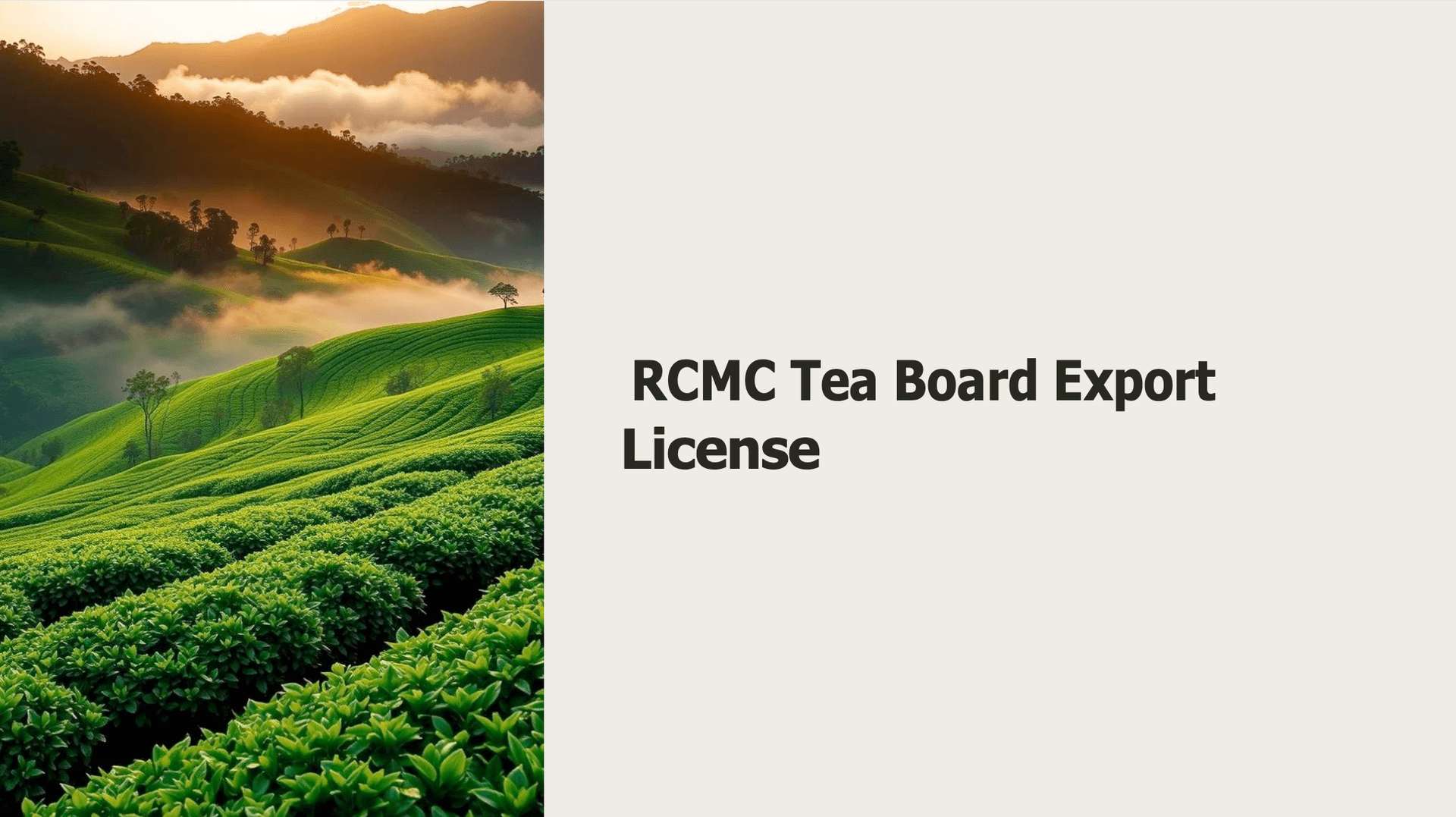 RCMC Tea Board Export License